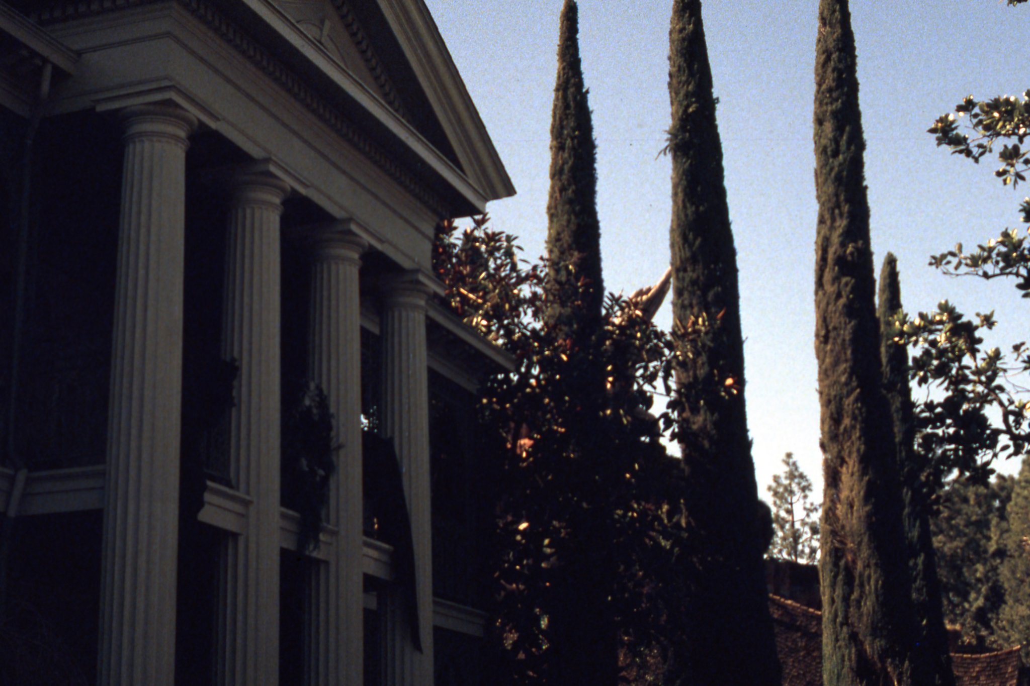Columns