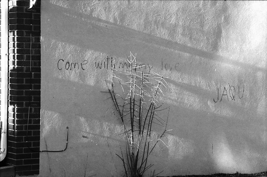 come with me my love