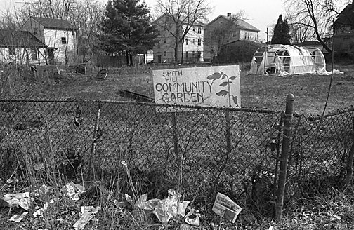 Community Garden