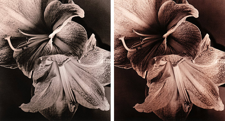Comparsion Lith Omega 1+300 vs. 1+100