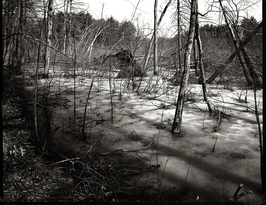 Concord,  Early Spring