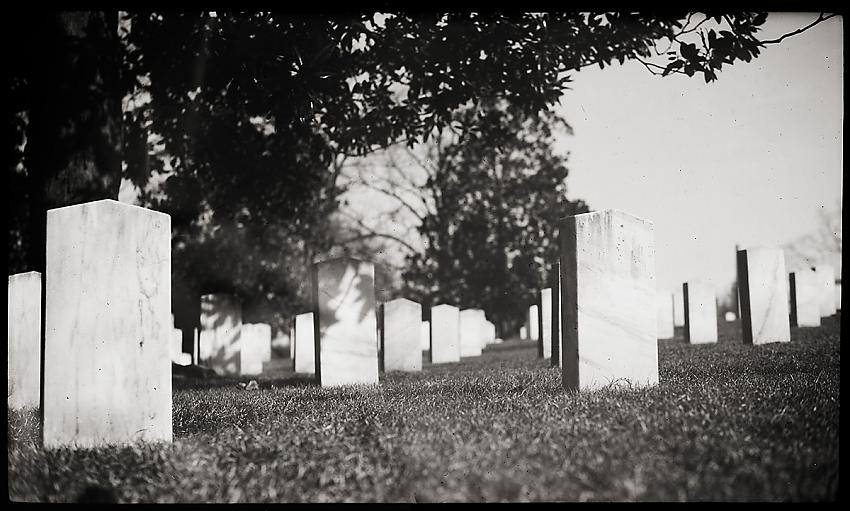 Confederate Dead