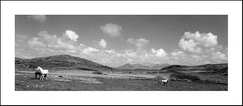 Connemara Plains