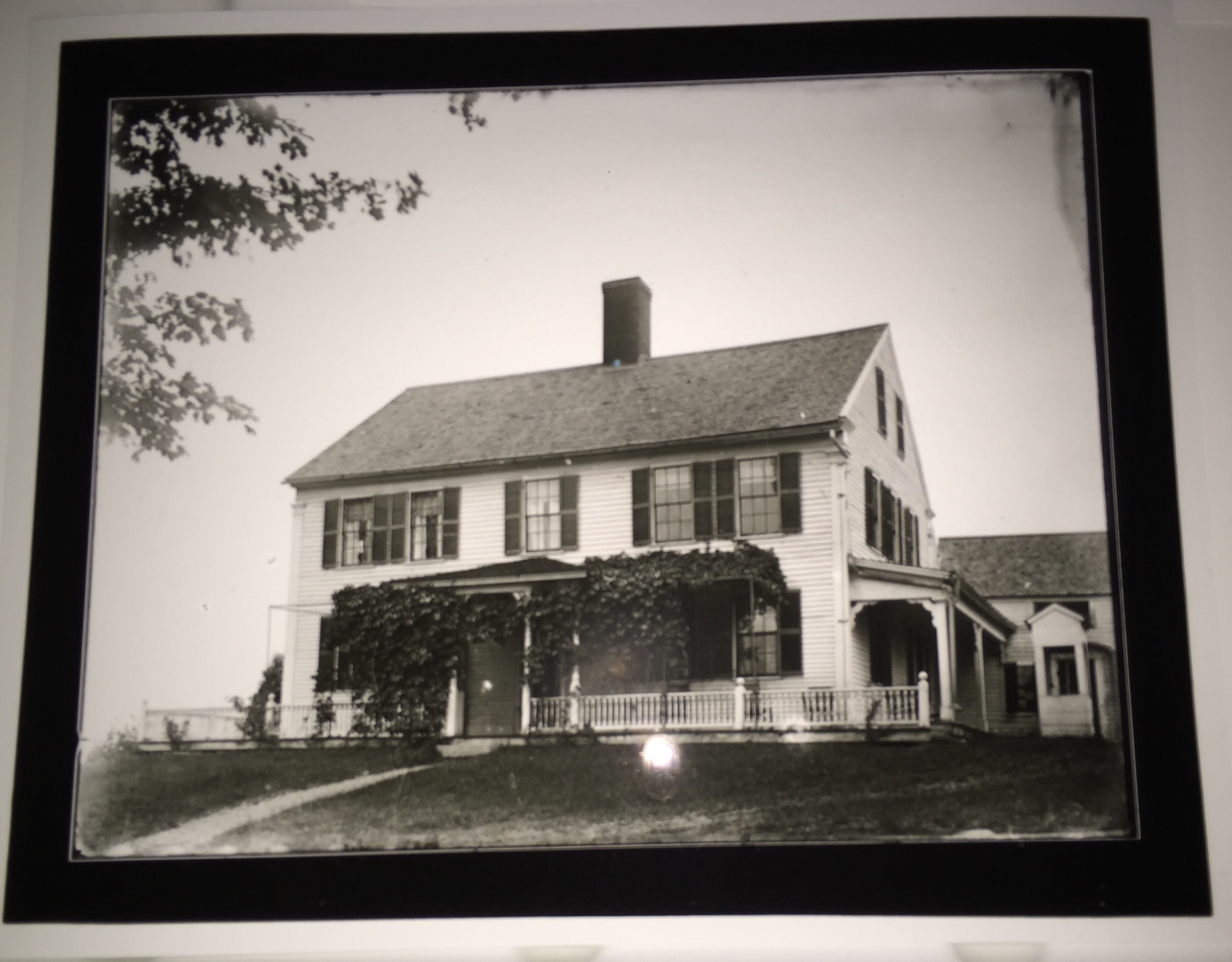Contact Print off 100 yr old plate