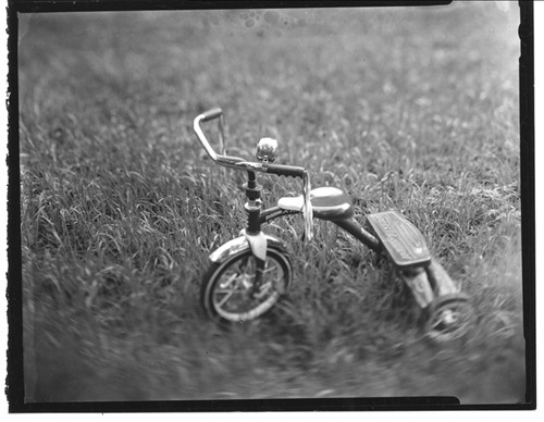 Contact print