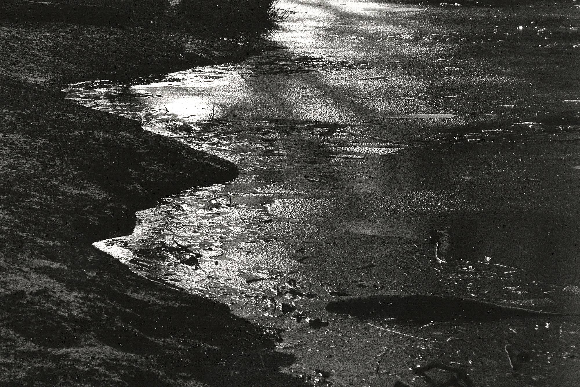 Contax KB200 05