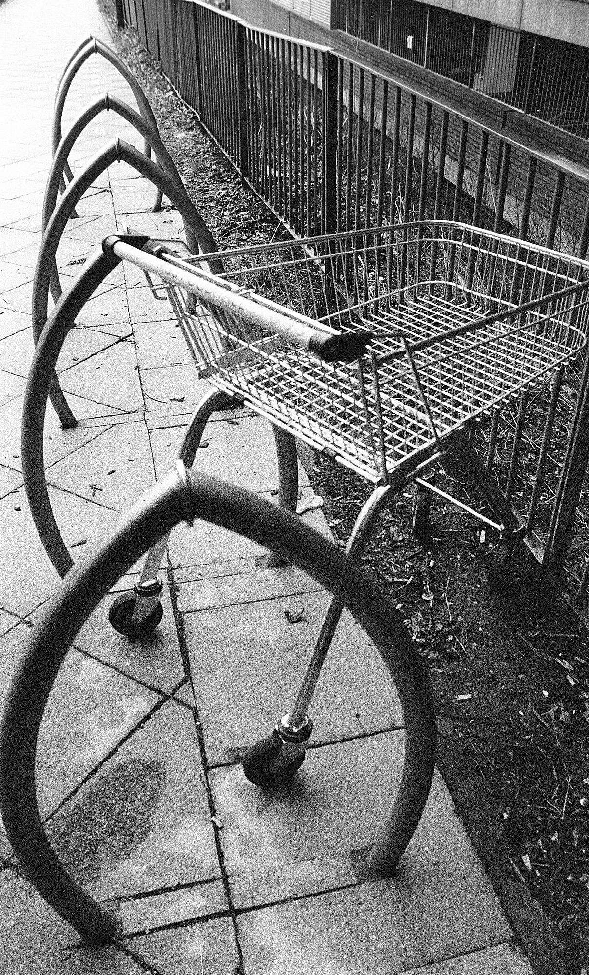 Contax + Yashica 28mm 01