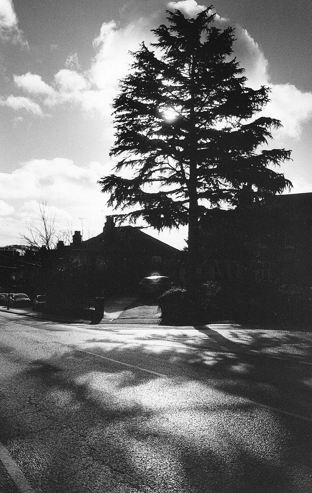 Contax + Yashica 28mm 02