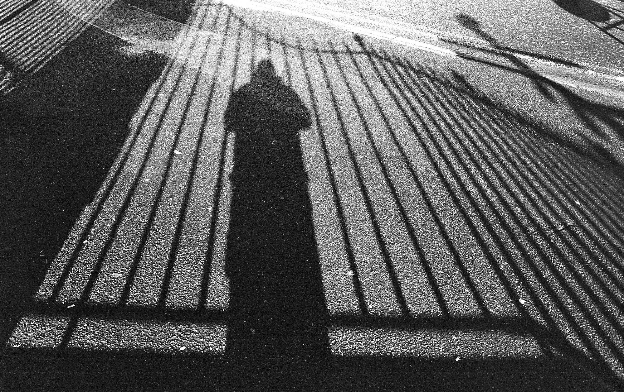 Contax + Yashica 28mm 03