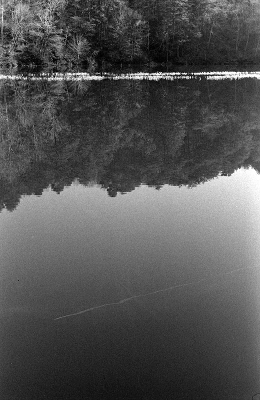 contrail