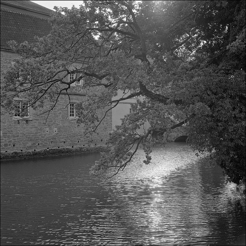 contre-jour 2