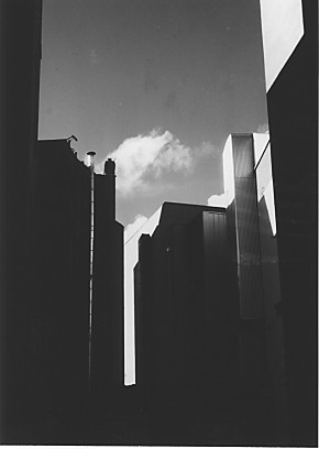contre jour