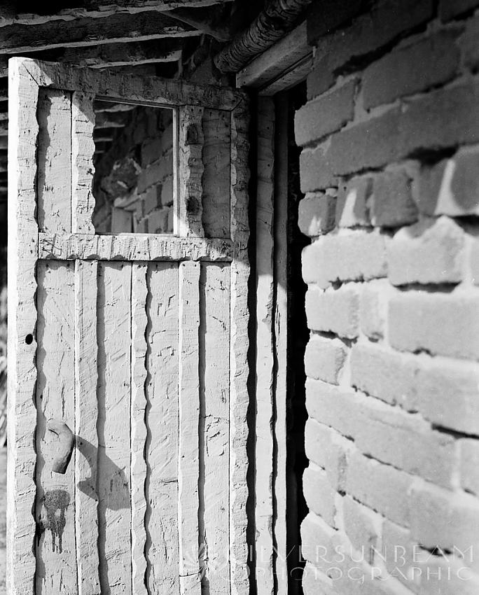 Coop Door