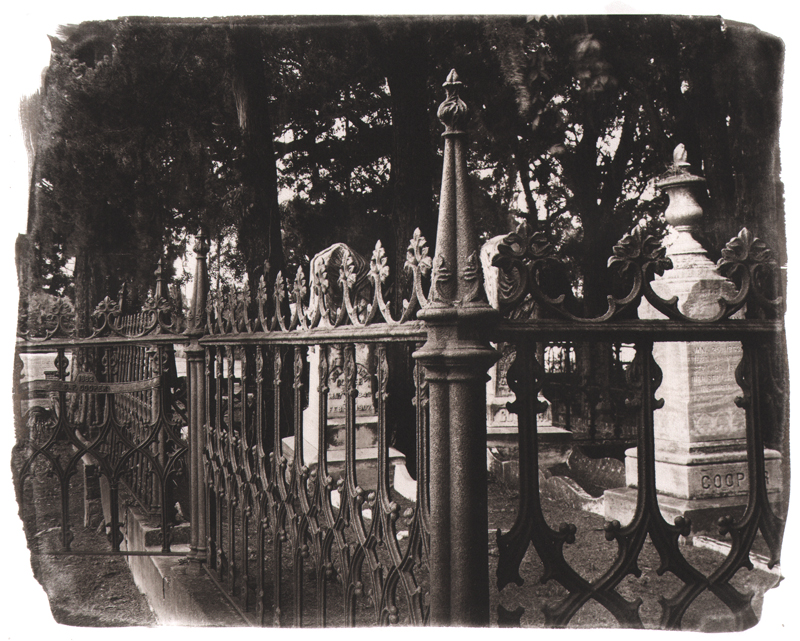 Coopers Fence