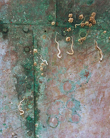 Copper plated Hull