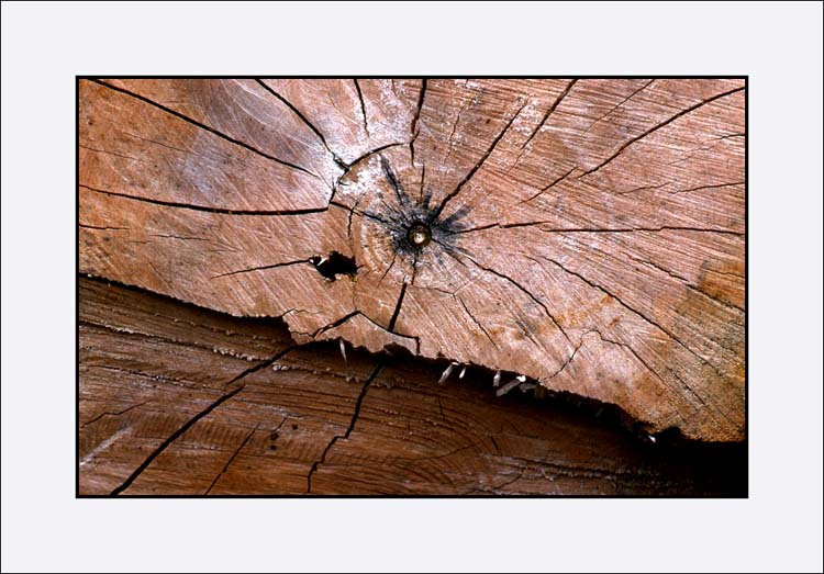 Cord Wood