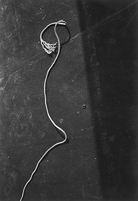 cord