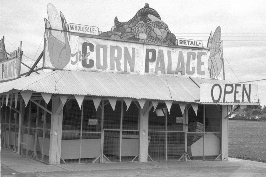 corn palace- sunnyvale