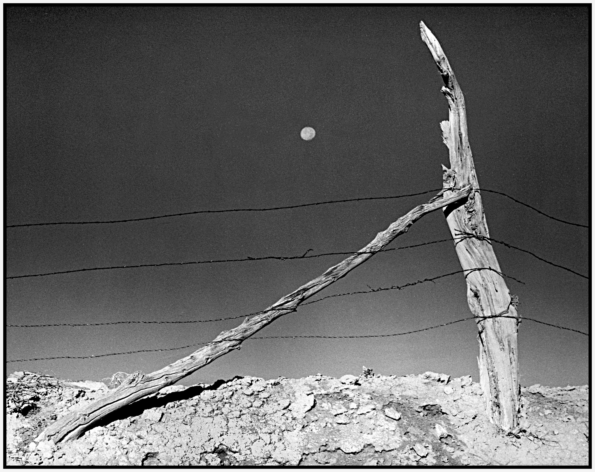 Corralled Moon