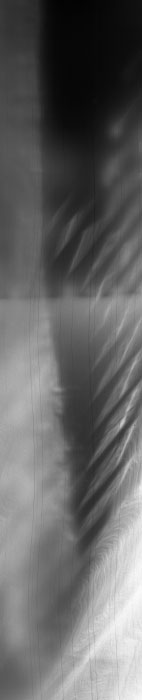 corrosive series