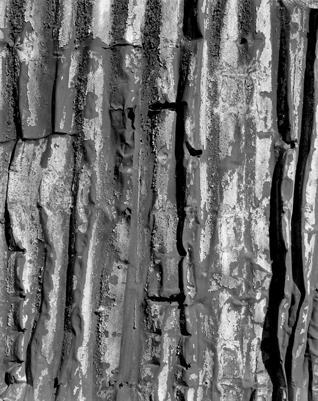CorrugatedSidingDetail