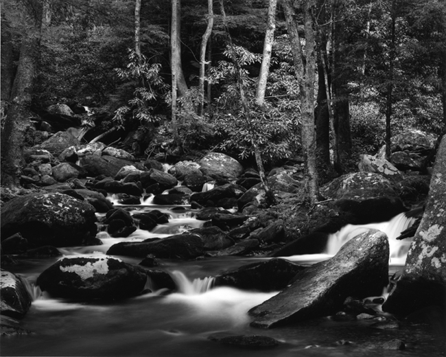 Cosby Creek Great Smoky Mountains