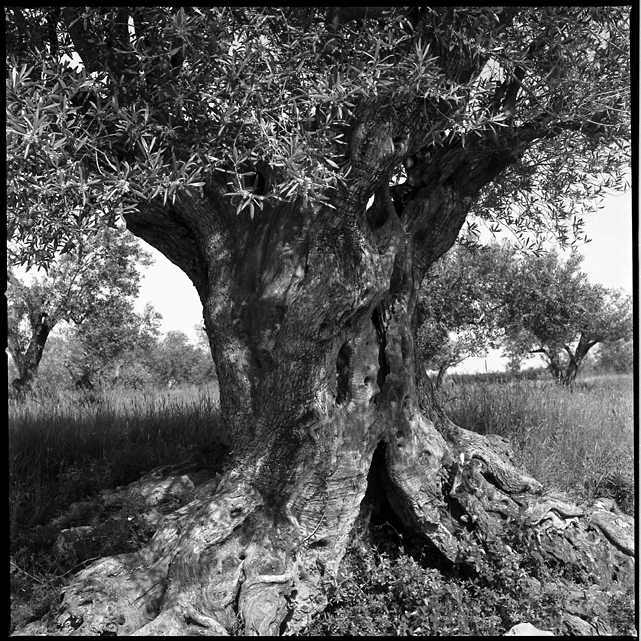 Costa Brava, Spain, 2009