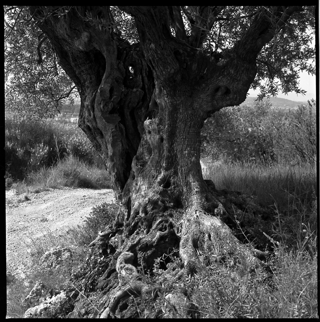 Costa Brava. Spain, 2009