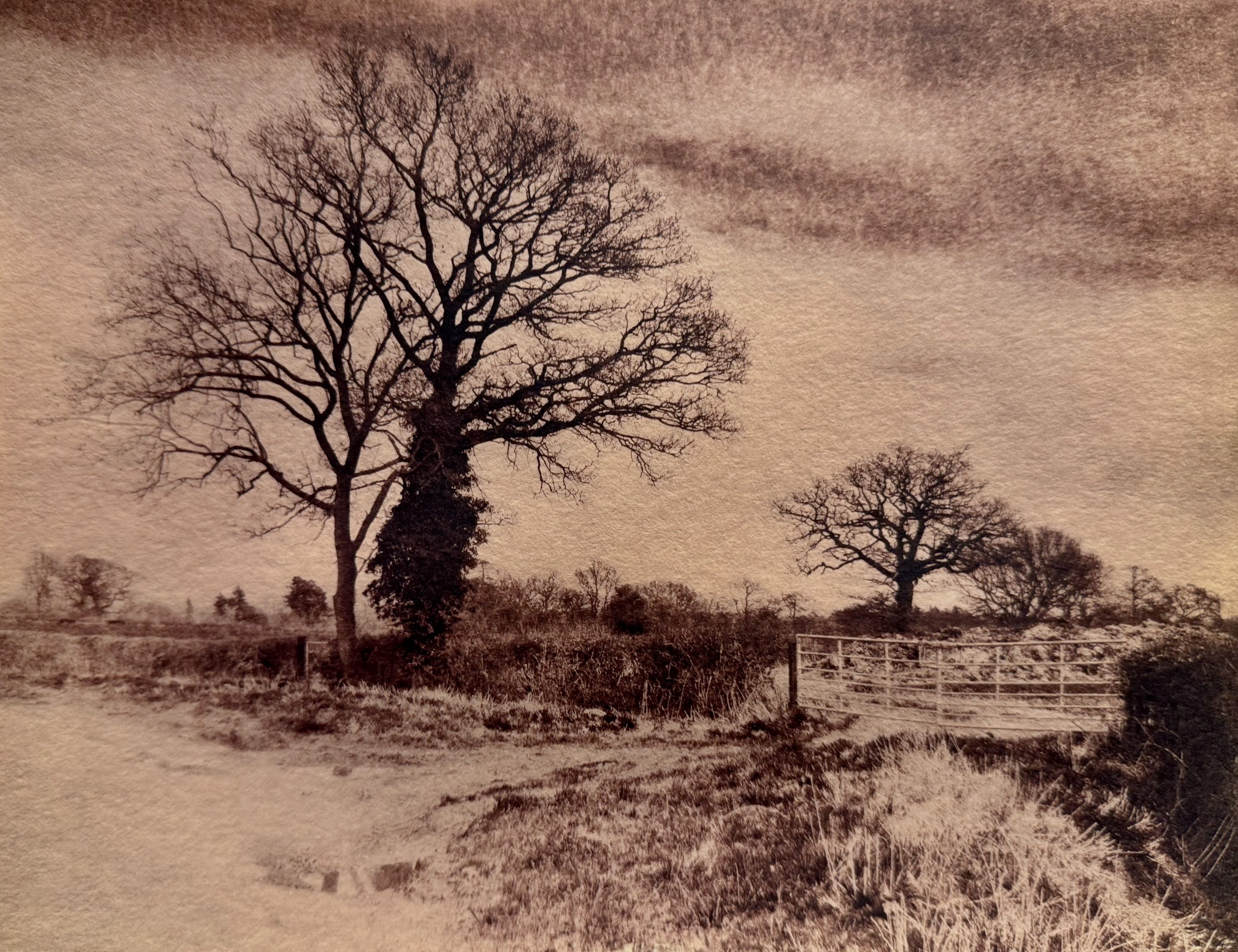 Cotswold landscape