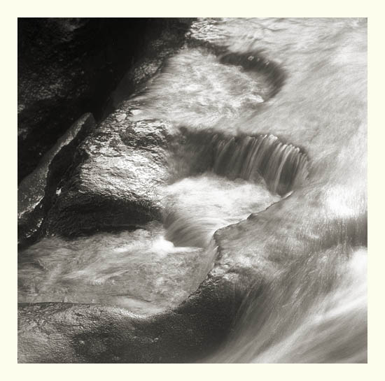 Cotter Force 4