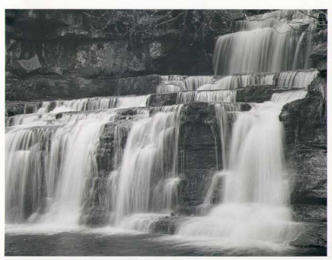Cotter Force