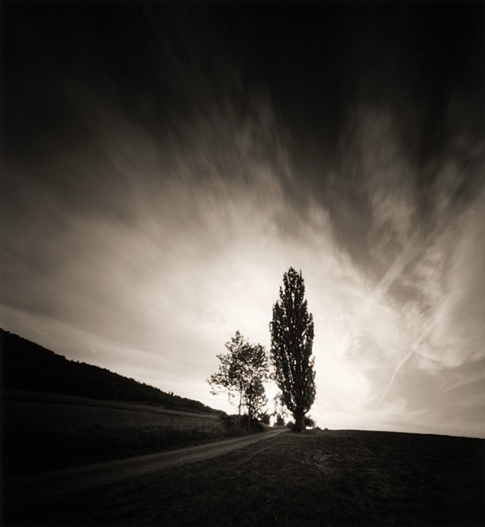 Cottonwood