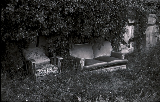 Couch & ivy