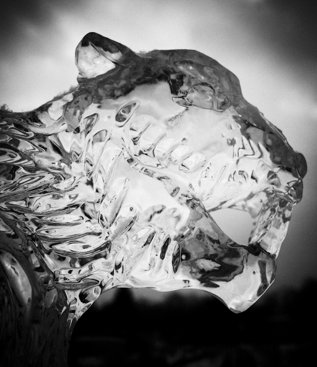 Cougar, Rockford Ice Festival