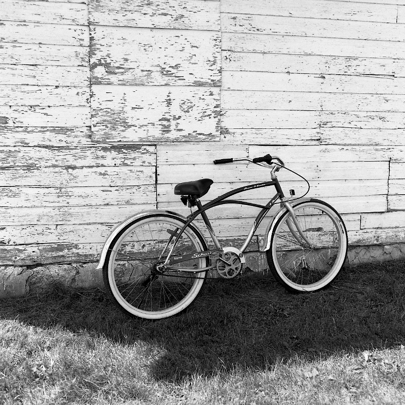 Country Fair (Bicycle) 2010