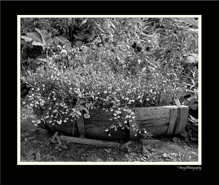 Country Flower Bed