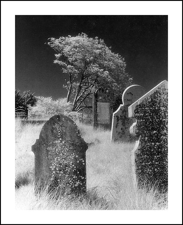 Country Graveyard