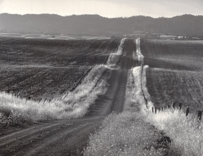 Country Road, Study 1, Yolo County, California