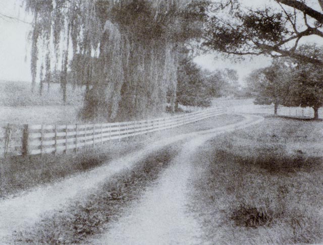 Country Road