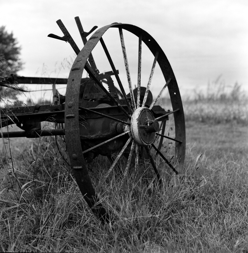 Country shots