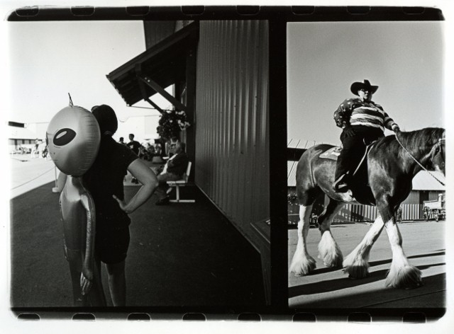 County Fair