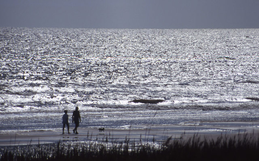 Couple On Ocean Isle Beach