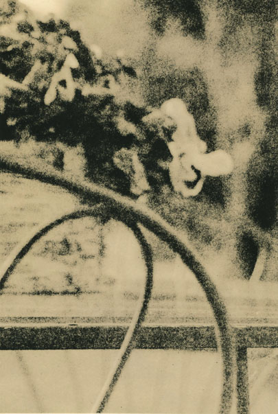 Courtyard Still Life