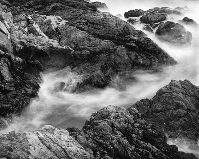 Cove with Seagull