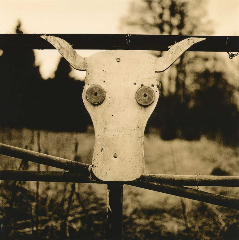 Cow-sign with reflectors