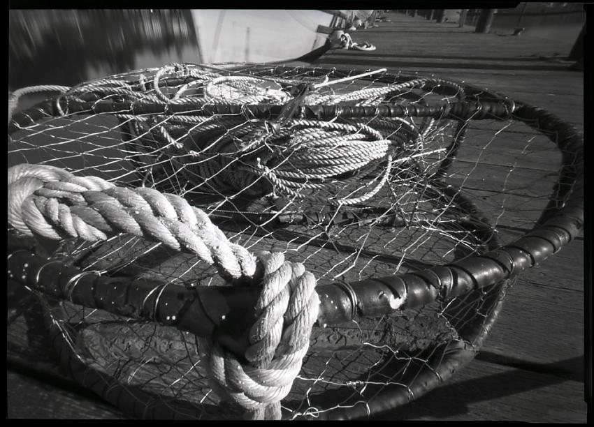 crab pot, newport docks
