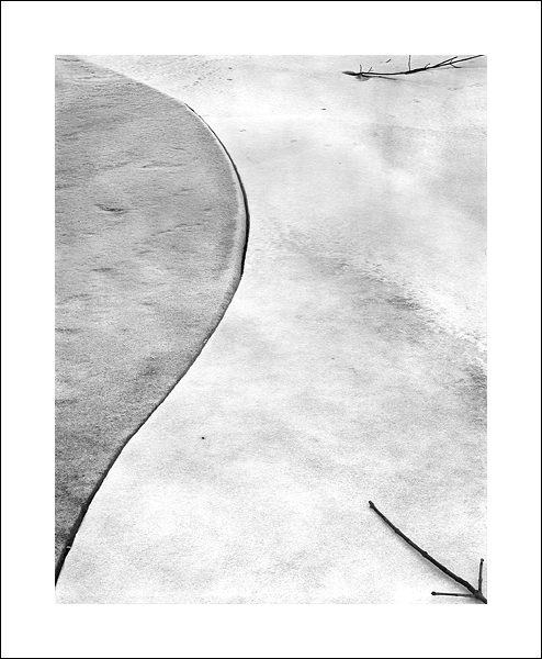 Cracked Ice and Branches