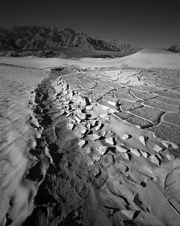 cracked mud at dunes