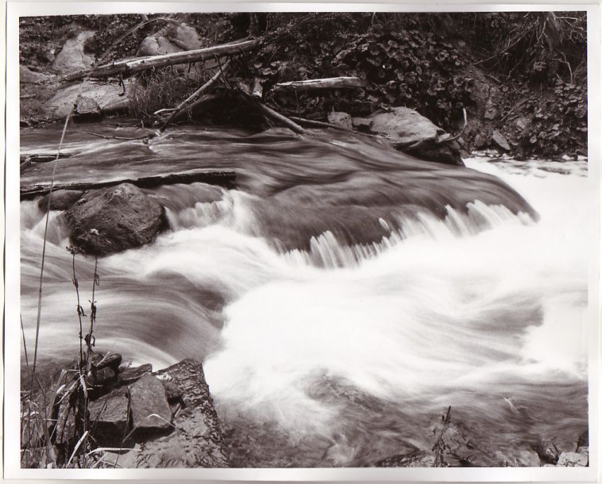 Credit river near Cataract Ontario