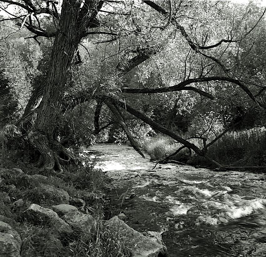 Credit River
